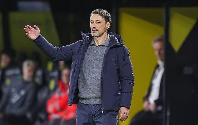 msn, 自伯明翰城 msn, 自伯明翰城